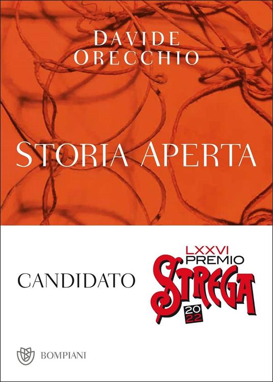 Storia aperta - Davide Orecchio - copertina