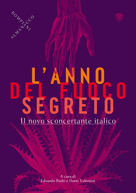 L'anno del fuoco segreto. Il novo sconcertante italico - copertina