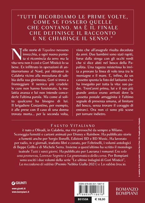 Scritto sulla sabbia. L'ultima indagine di Gori Misticò - Fausto Vitaliano - 2