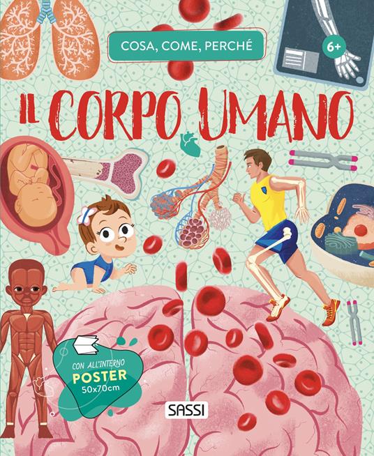 Il corpo umano. Cosa, come, perché. Con Poster - Irena Trevisan - copertina