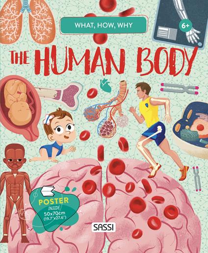 The human body. What, how, why. Con Poster - Irena Trevisan - copertina