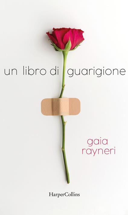 Un libro di guarigione - Gaia Rayneri - ebook