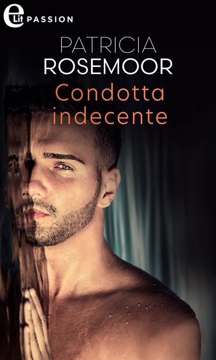 Condotta indecente. Chicago Heath. Vol. 2 - Patricia Rosemoor - ebook