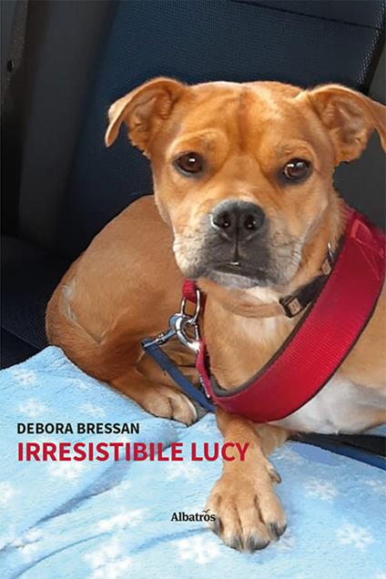 Irresistibile Lucy - Debora Bressan - copertina