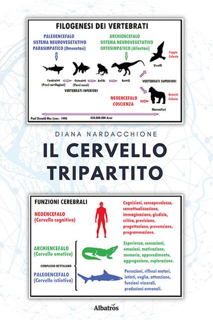 Il cervello tripartito - Diana Nardacchione - copertina