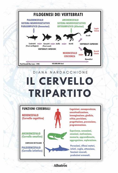 Il cervello tripartito - Diana Nardacchione - ebook