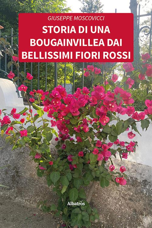 Storia di una bougainvillea dai bellissimi fiori rossi - Giuseppe Moscovicci - copertina