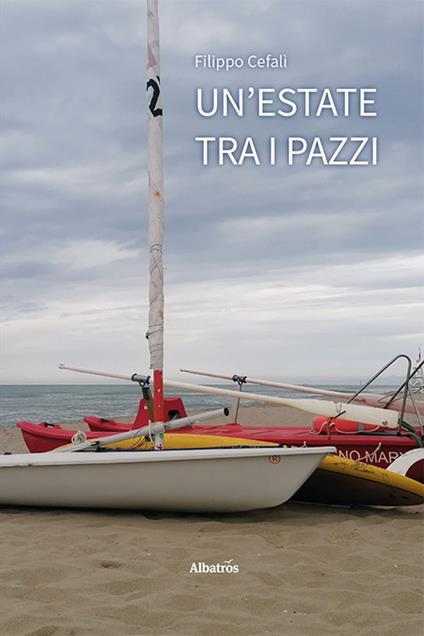 Un'estate tra i pazzi - Filippo Cefalì - copertina