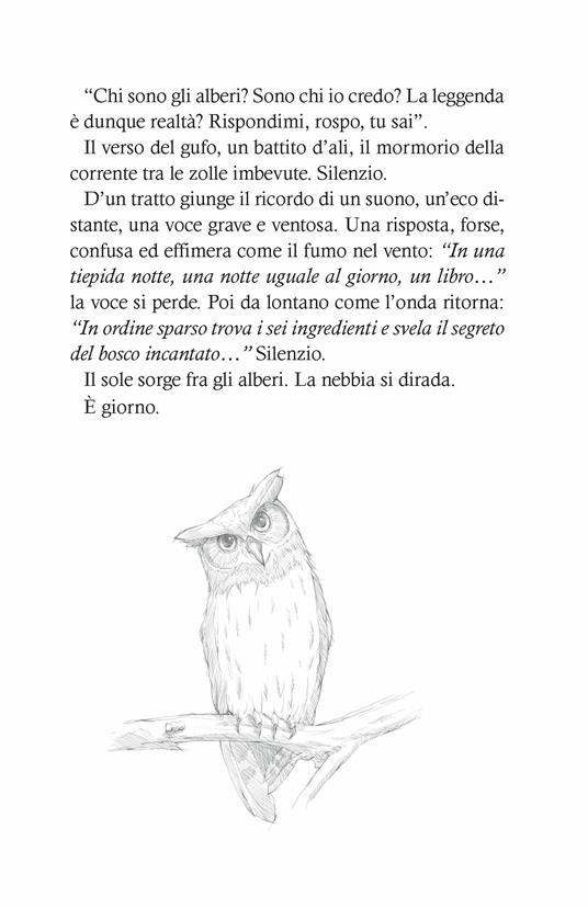 Gli incantevoli giorni di Shirley. Fairy Oak. Nuova ediz.. Vol. 5 - Elisabetta Gnone - 7