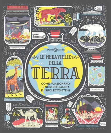 Le meraviglie della Terra. Come funzionano il nostro pianeta e i suoi ecosistemi - Rachel Ignotofsky - copertina