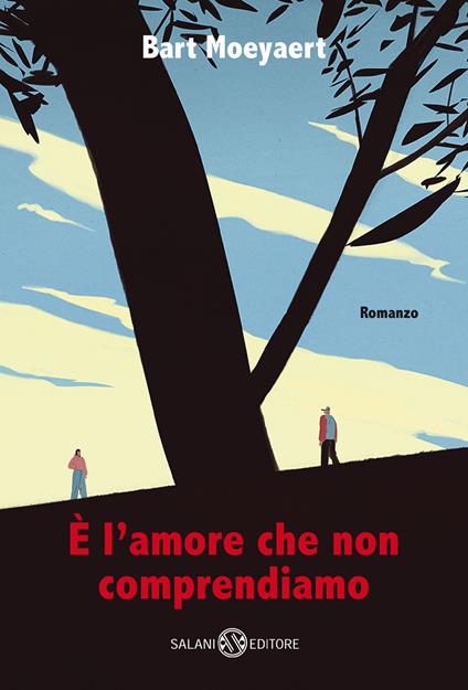 È l'amore che non comprendiamo - Bart Moeyaert - copertina