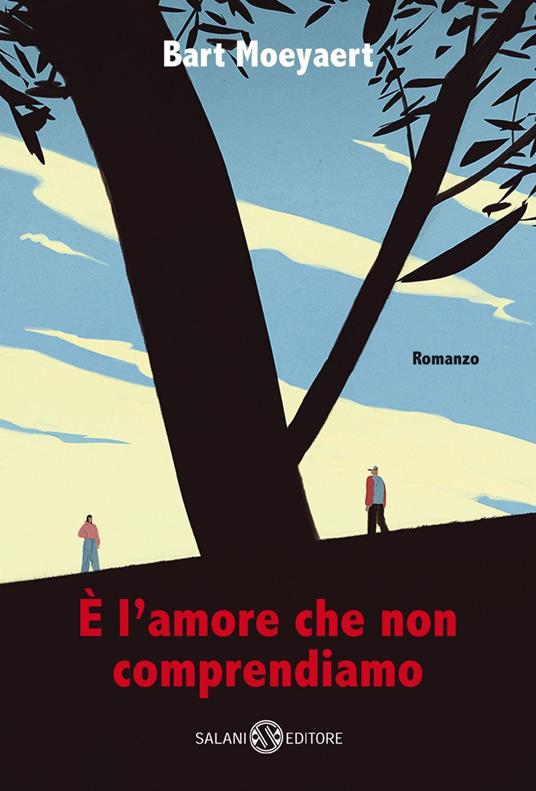 È l'amore che non comprendiamo - Bart Moeyaert,Giancarlo Errico - ebook