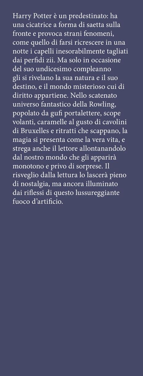 Harry Potter e la pietra filosofale. Ediz. anniversario 25 anni - J. K. Rowling - 2