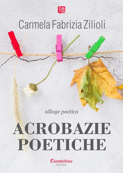 Acrobazie poetiche - Carmela Fabrizia Zilioli - copertina