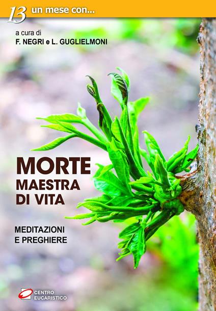 Morte, maestra di vita. Meditazioni e preghiere - Luigi Guglielmoni,Fausto Negri - ebook