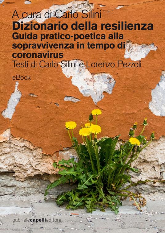 Dizionario della resilienza. Guida pratico-poetica alla sopravvivenza in tempo di coronavirus - Carlo Silini - ebook