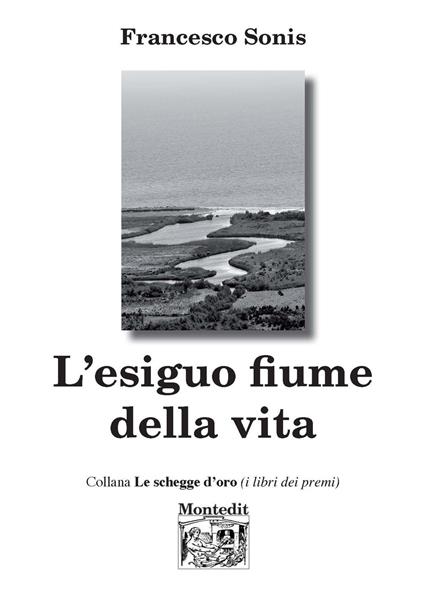 L' esiguo fiume della vita - Francesco Sonis - copertina