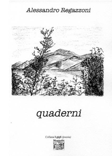 Quaderni - Alessandro Regazzoni - ebook