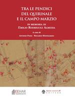 Tra le pendici del Quirinale e il Campo Marzio. Con grande pianta archeologica ripiegata