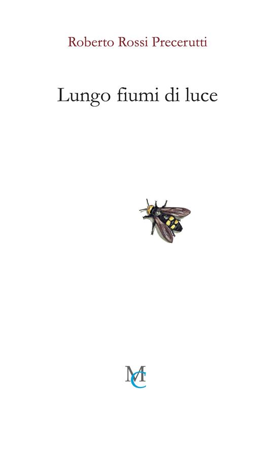 Lungo fiumi di luce - Roberto Rossi Precerutti - copertina