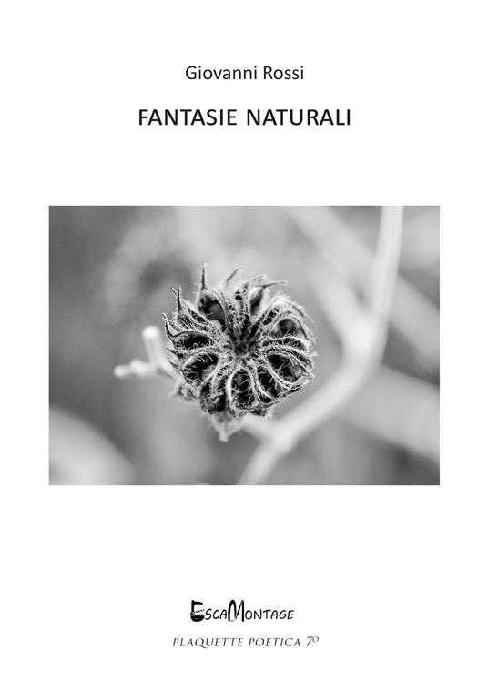 Fantasie naturali - Giovanni Rossi - copertina