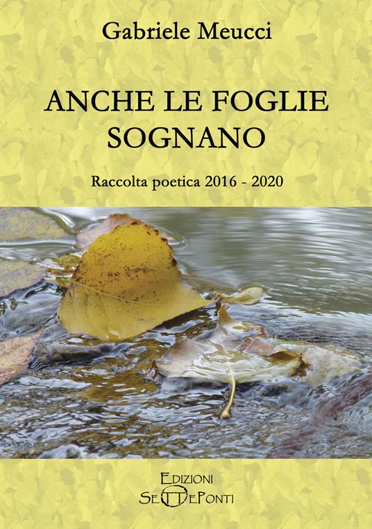 Anche le foglie sognano - Gabriele Meucci - copertina