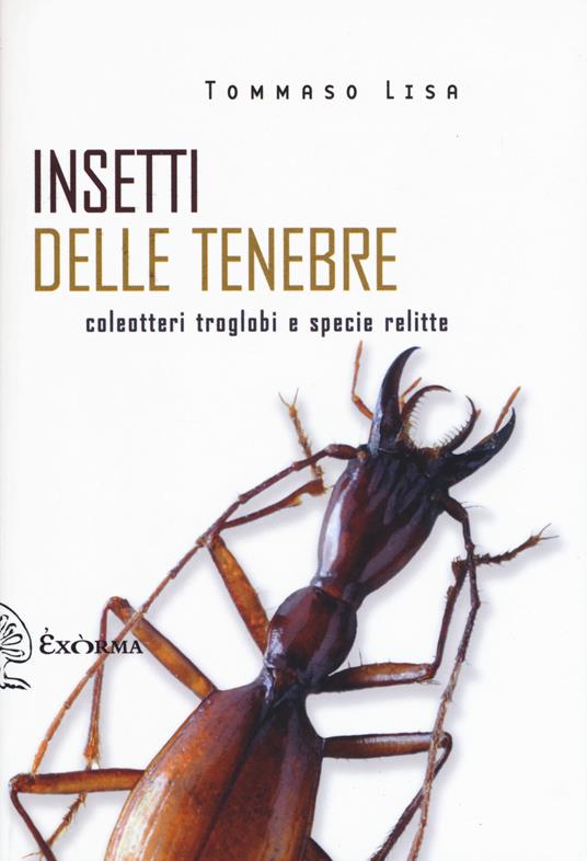 Insetti delle tenebre. Coleotteri troglobi e specie relitte - Tommaso Lisa - copertina