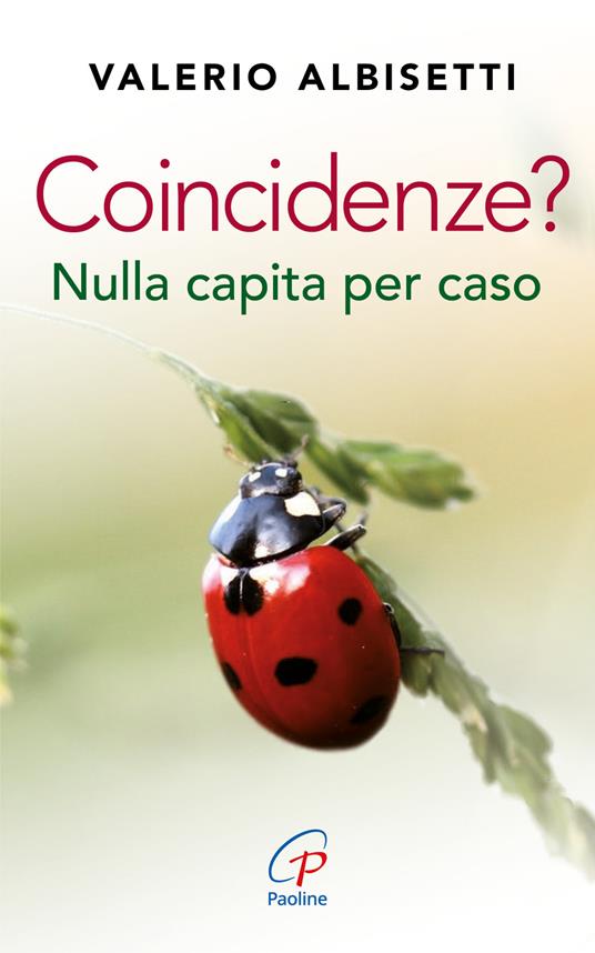 Coincidenze? Nulla capita per caso - Valerio Albisetti - copertina