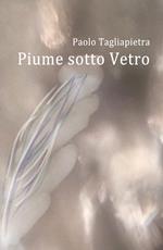 Piume sotto vetro