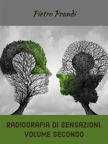 Radiografia di sensazioni. Vol. 2 - Pietro Prandi - ebook