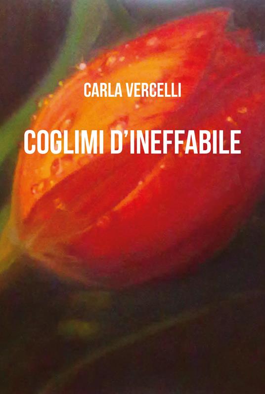 Coglimi d'ineffabile. Poesie d'Eros - Carla Vercelli - copertina