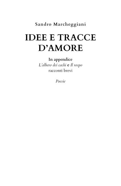 Idee e tracce d'amore - Sandro Marcheggiani - copertina