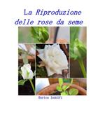 La riproduzione delle rose da seme