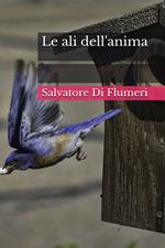 Le ali dell'anima