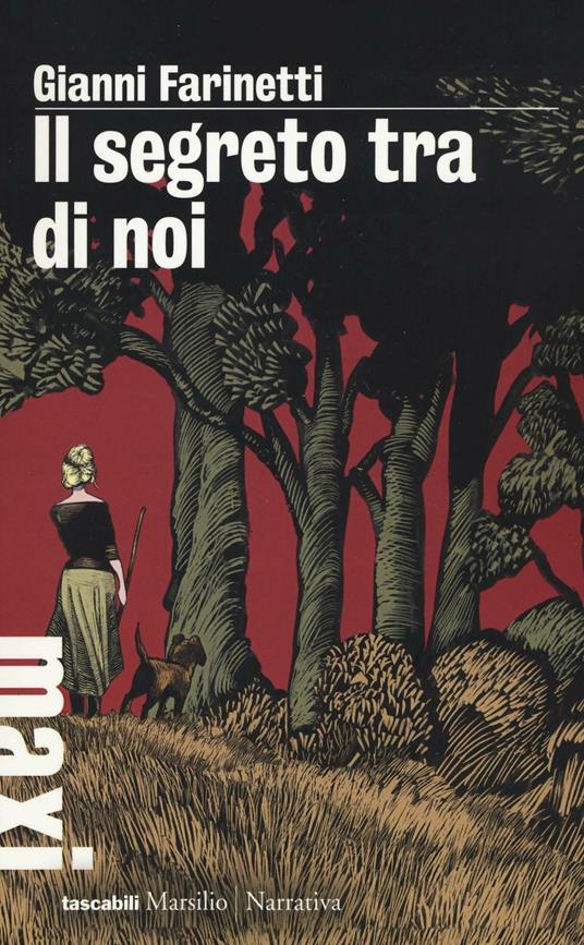 Il segreto tra di noi - Gianni Farinetti - copertina