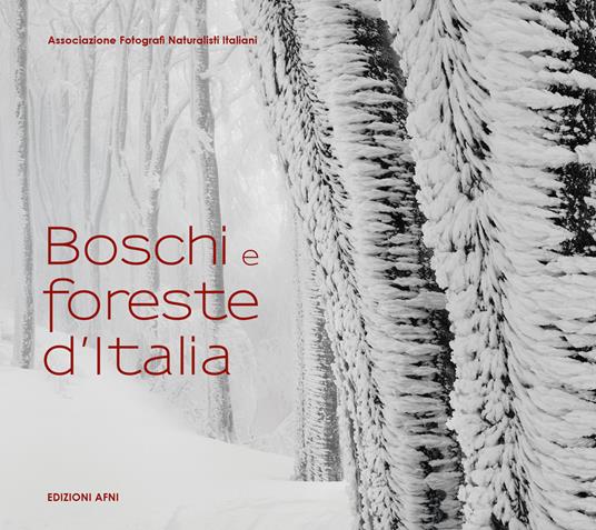 Boschi e foreste d'Italia. Ediz. illustrata - copertina