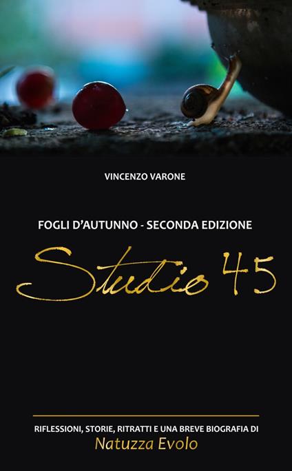 Studio 45. Fogli d'autunno - Vincenzo Varone - copertina