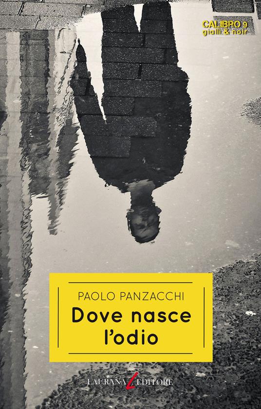Dove nasce l'odio - Paolo Panzacchi - copertina