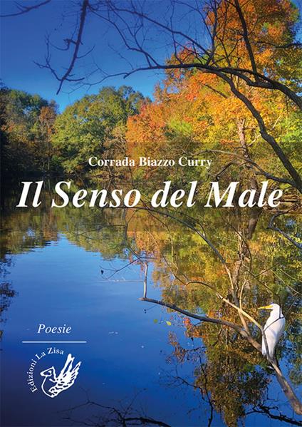 Il senso del male - Corrada Biazzo Curry - copertina