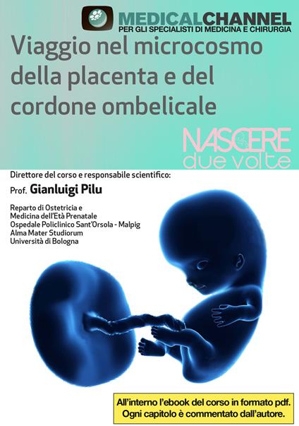 Viaggio nel microcosmo della placenta e del cordone ombelicale. Con USB Flash Drive - Gianluigi Pilu - copertina