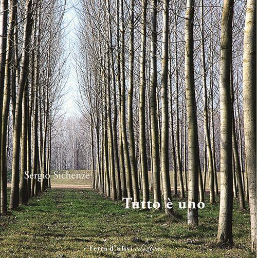 Tutto è uno - Sergio Sichenze - copertina