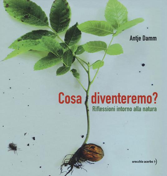 Cosa diventeremo? Riflessioni intorno alla natura. Ediz. a colori - Antje Damm - copertina