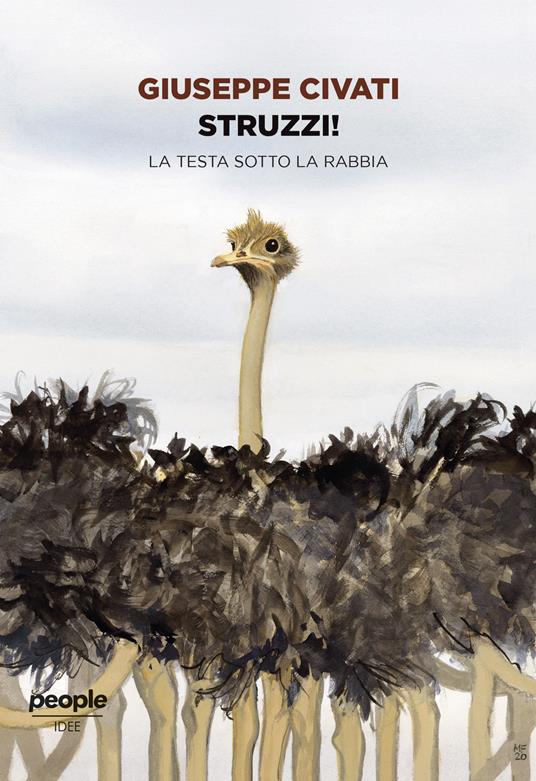 Struzzi! La testa sotto la rabbia - Giuseppe Civati - copertina