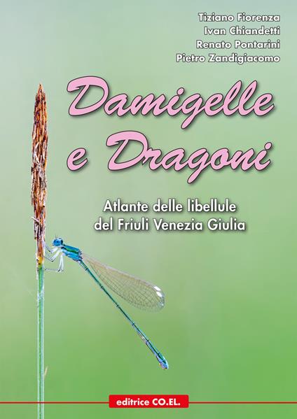 Damigelle e dragoni. Atlante delle libellule del Friuli Venezia Giulia - Tiziano Fiorenza,Ivan Chiandetti,Renato Pontarini - copertina