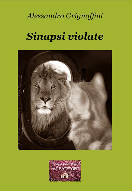 Sinapsi violate. La mutevole instabilità della ragione - Alessandro Grignaffini - copertina