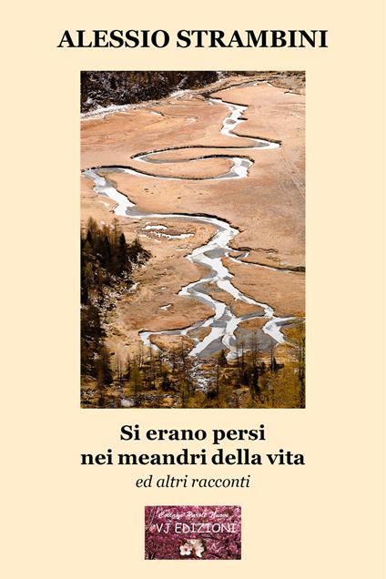 Si erano persi nei meandri della vita - Alessio Strambini - copertina