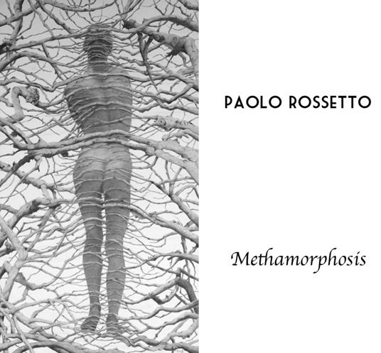 Methamorphosis. Itinerari antologici di Paolo Rossetto. Ediz. illustrata - Paolo Rossetto - copertina