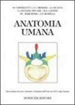 Anatomia umana