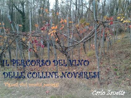 Il percorso del vino delle colline novaresi. Vigneti, vini, uomini, paesaggi - Carlo Zanetta - ebook