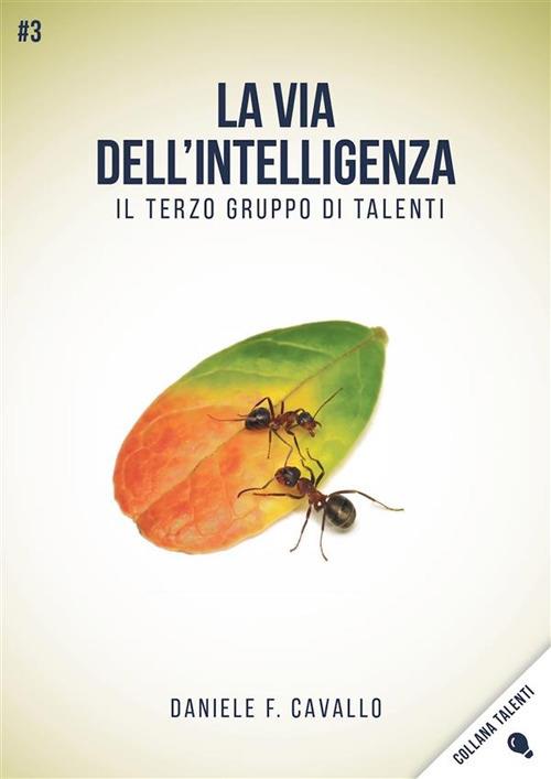 La via dell'intelligenza. Il terzo gruppo di talenti - Daniele Francesco Cavallo - ebook